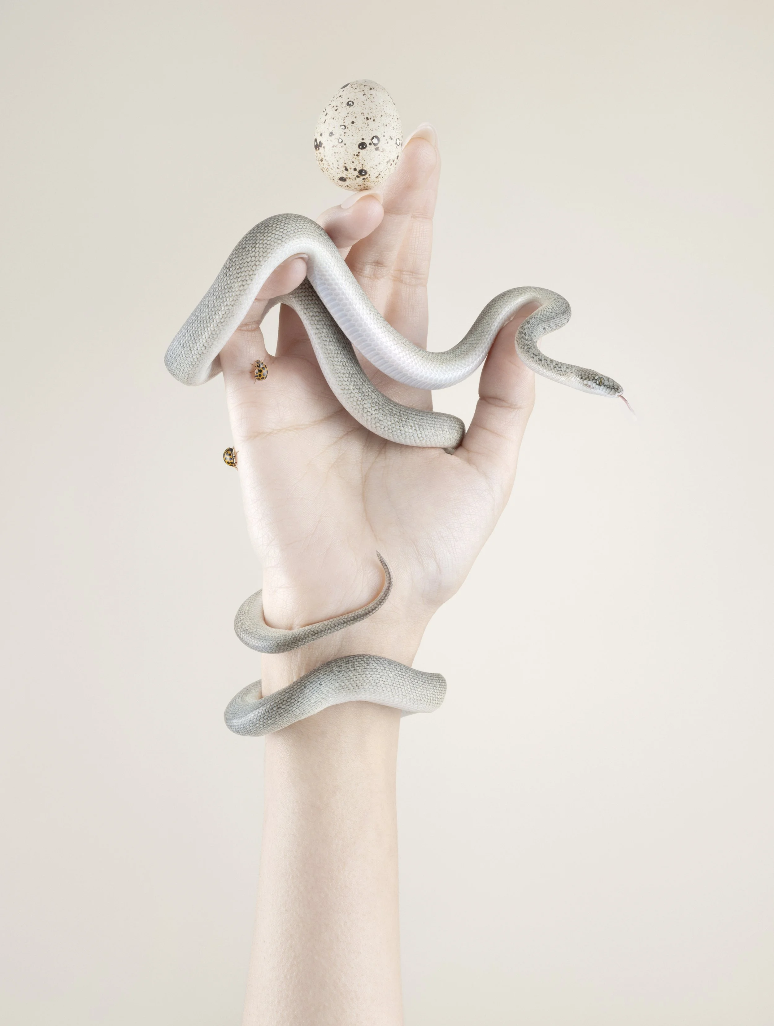 Memento mori I, 2024, 120x90cm