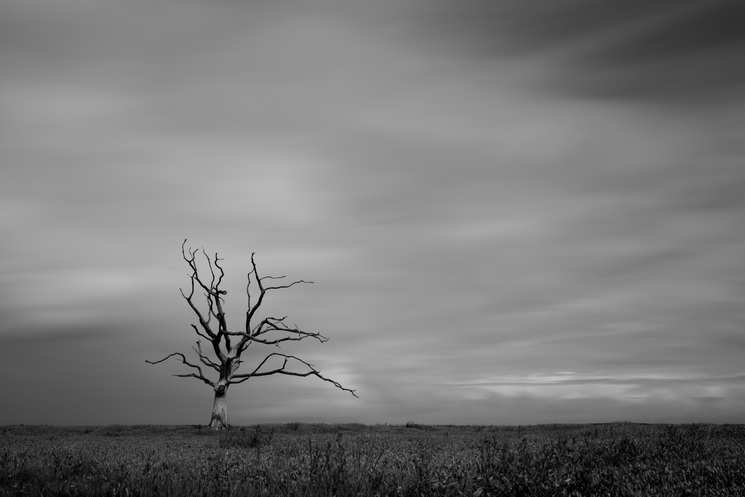 Laid Bare