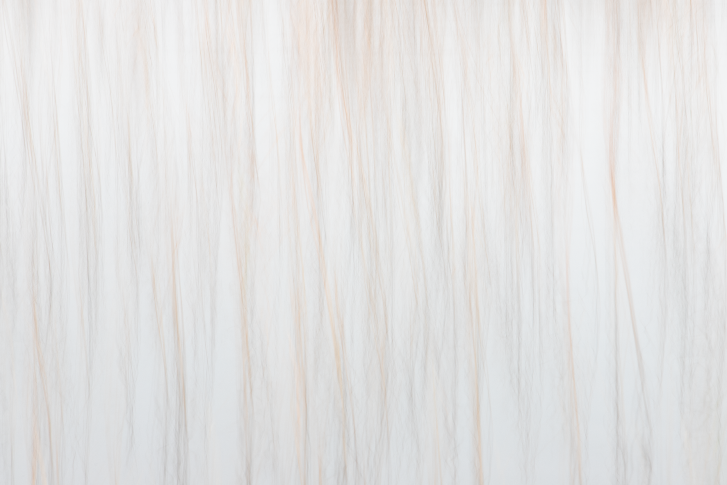 ICM.png