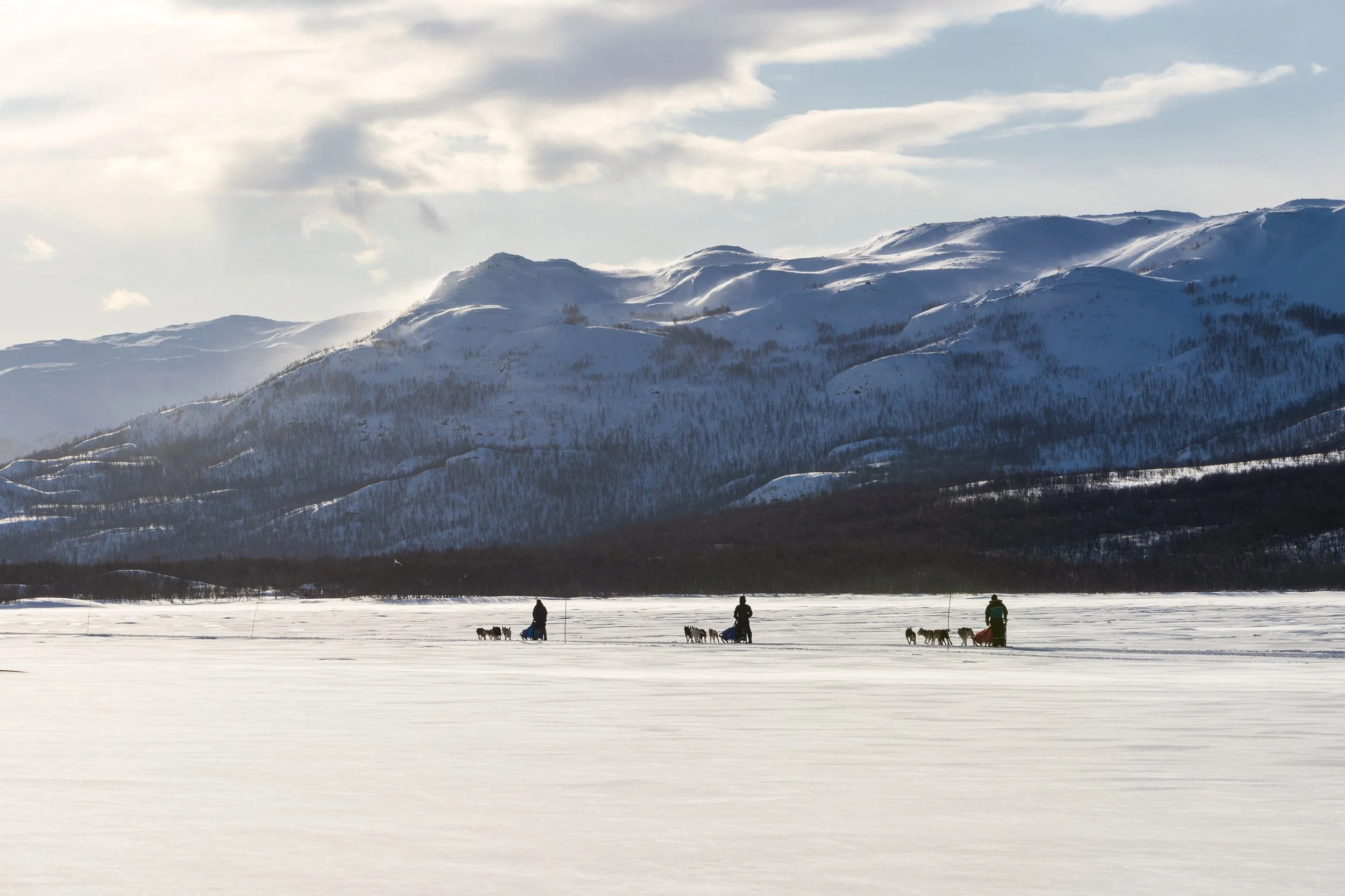 FOTOGRAFOV N ZA SEVERN M POL RN M KRUHEM PHOTOGRAPHY ABOVE ARCTIC 