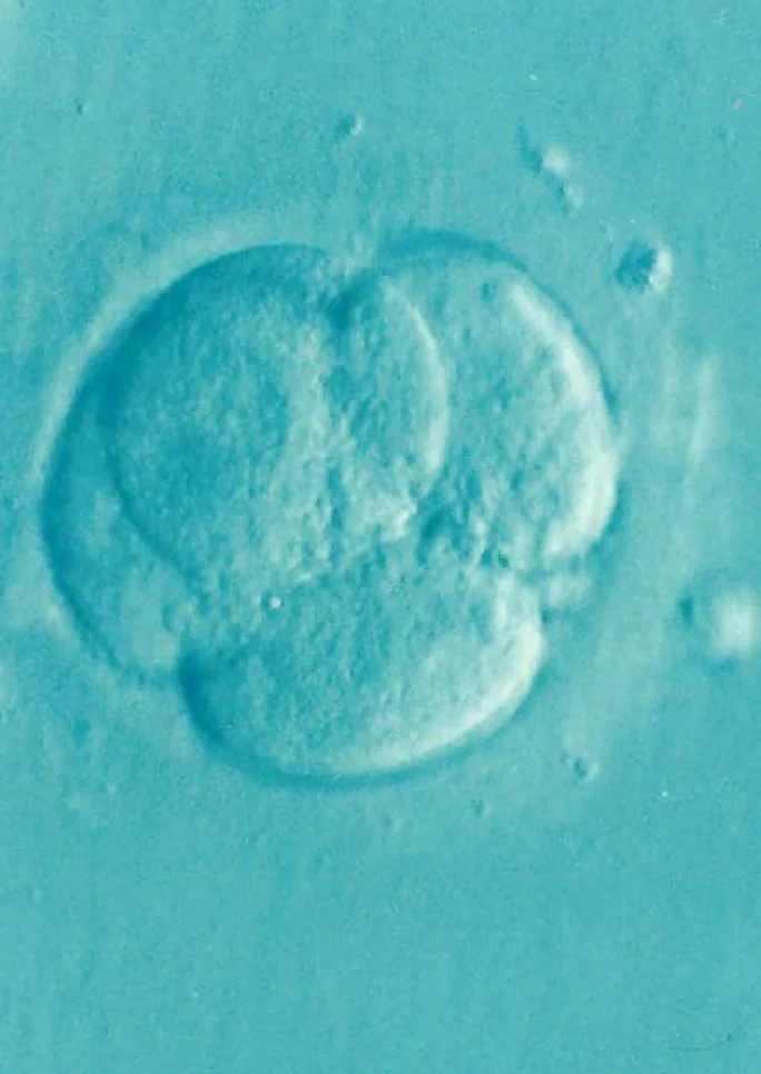 Top 10 Takeaways from our IVF Class