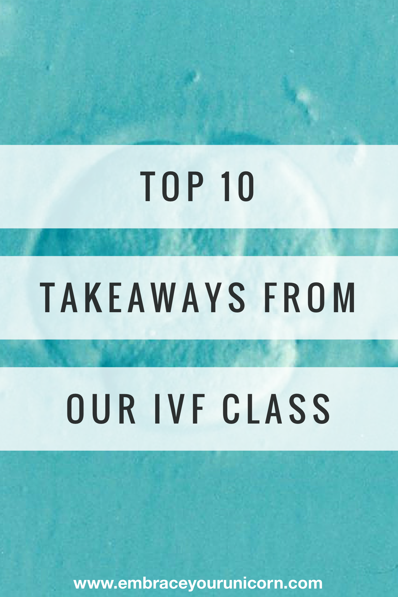 IVF Take Away PINTEREST size.PNG