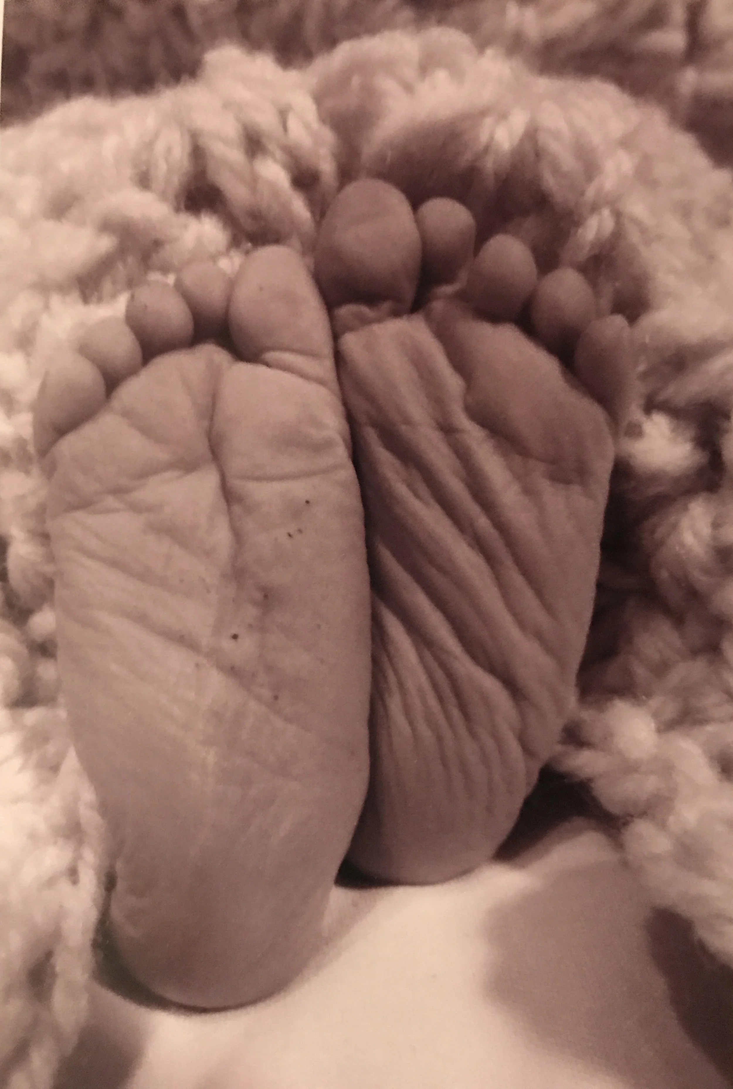 Ashley's story Baby 2.jpg