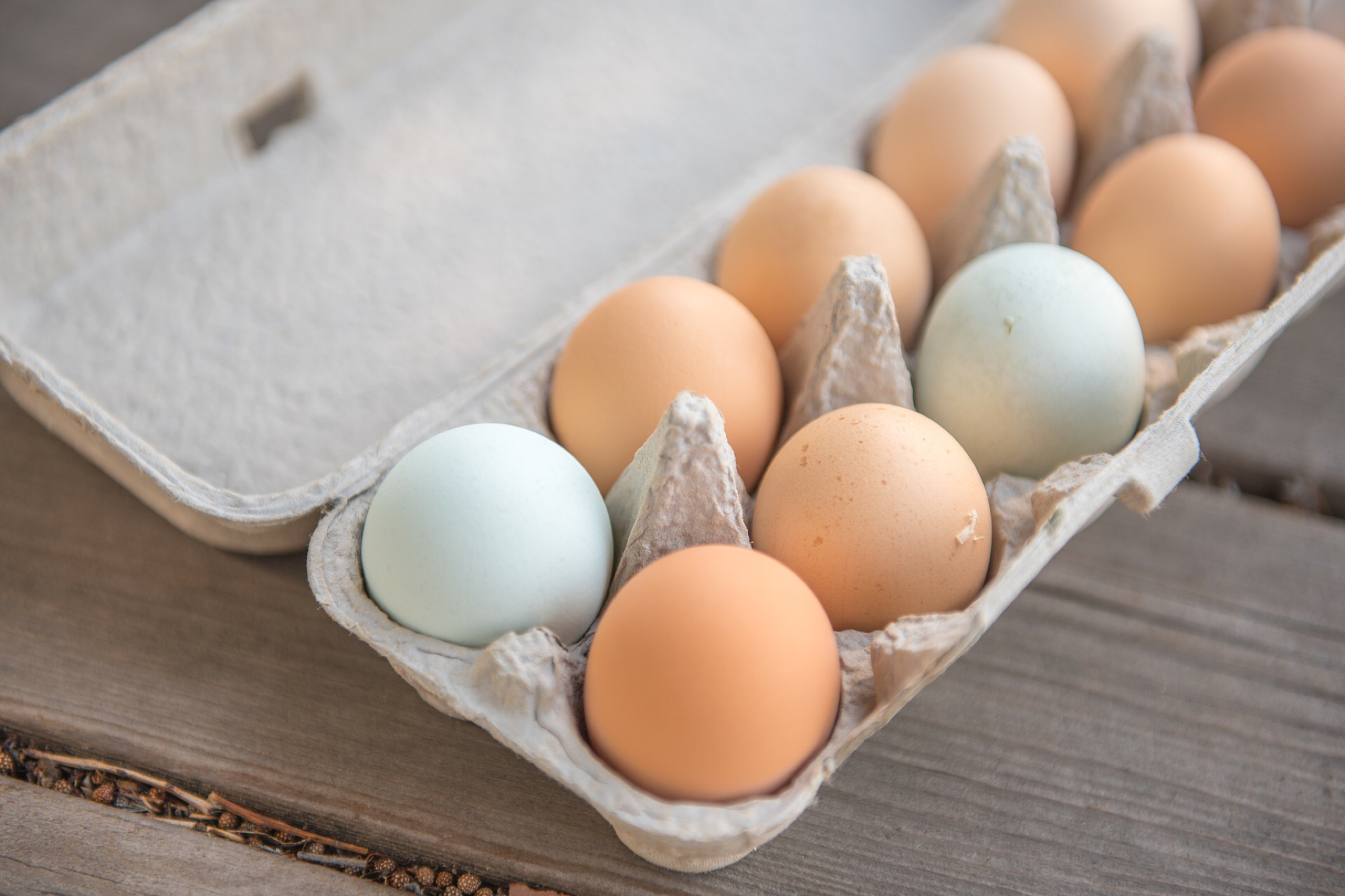 IVF Round 1: Egg Retrieval Update