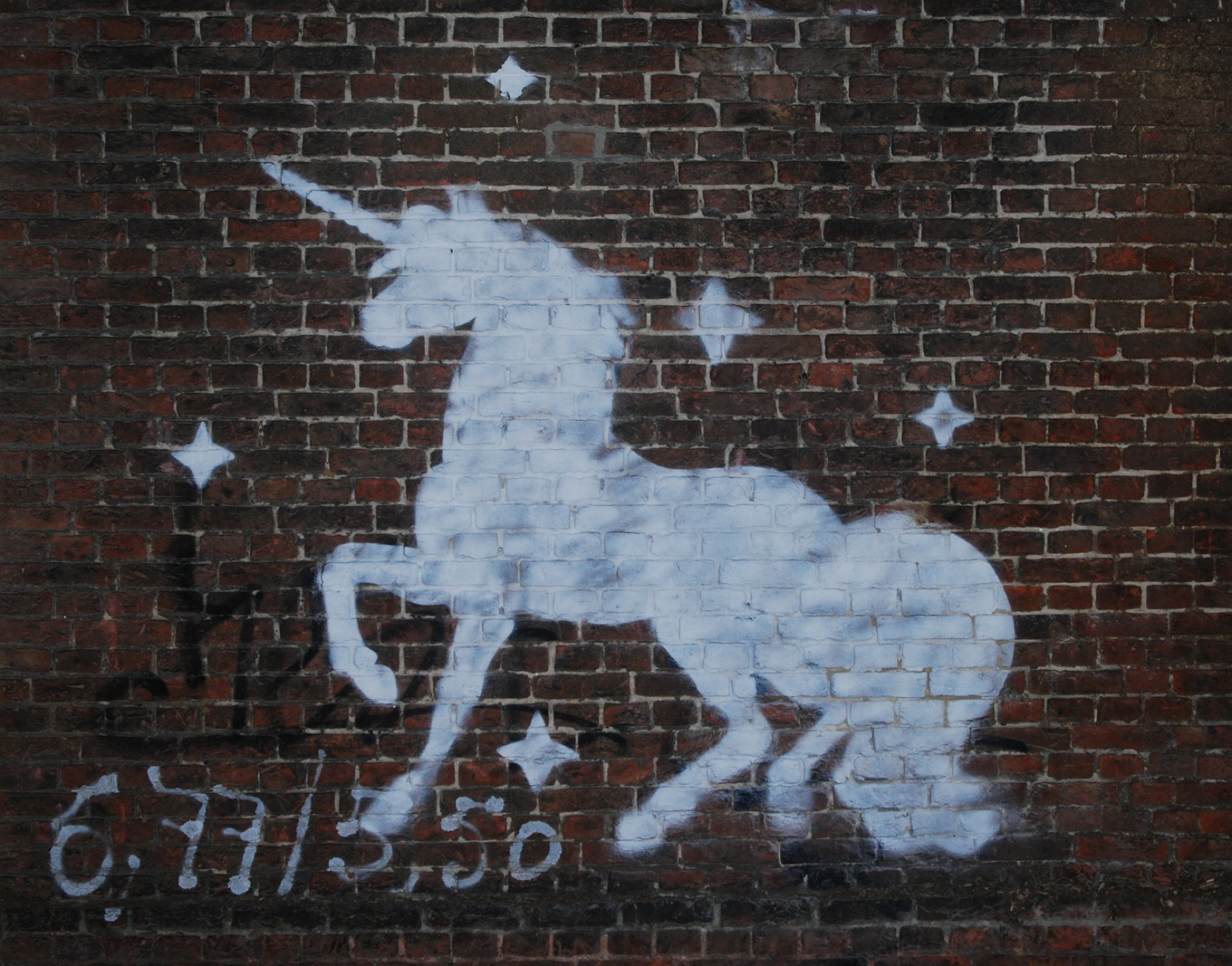 Guest Writer Wednesday: Unicornuate uterus...a new, special chapter in my life