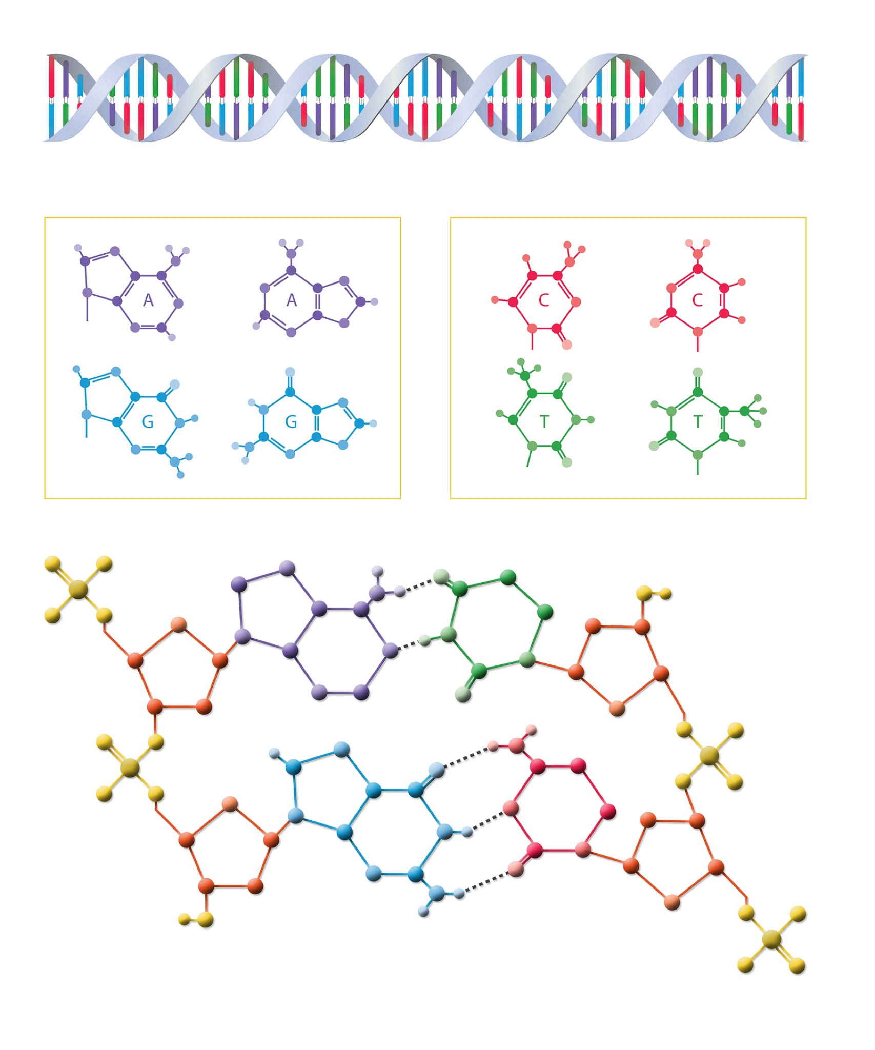IVF Round 2: Genetic Testing Results