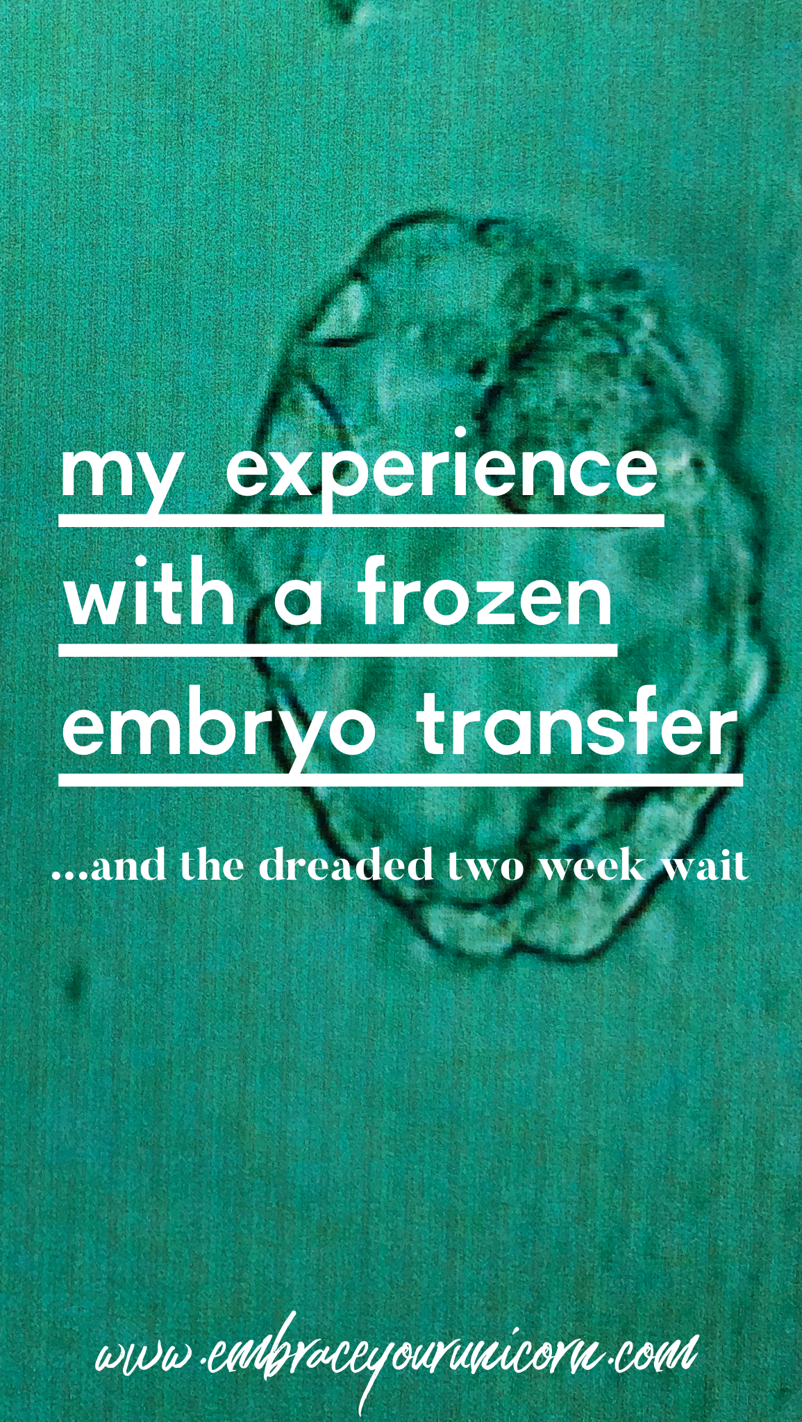 IMG_3416.PNG