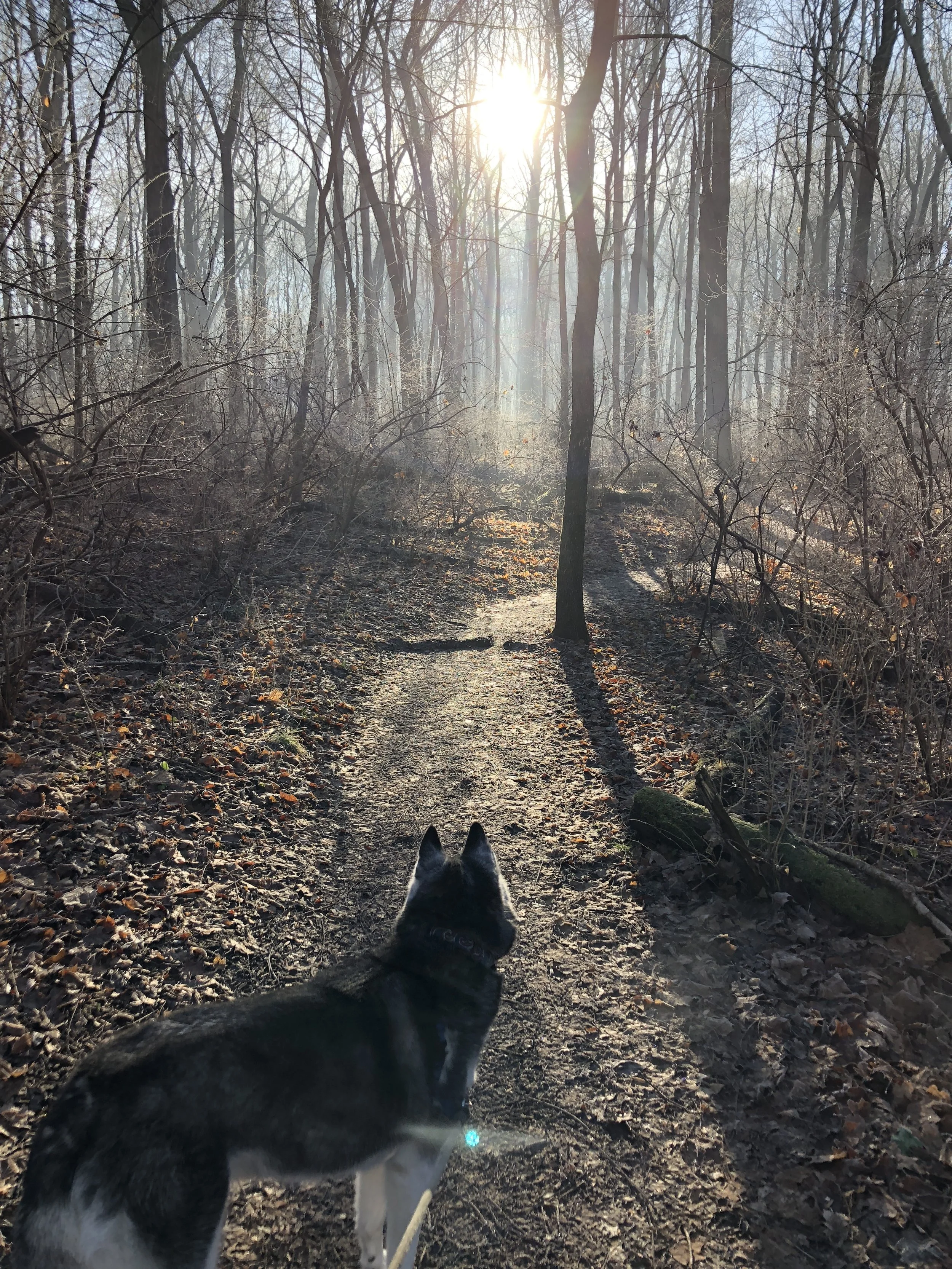 path.jpg
