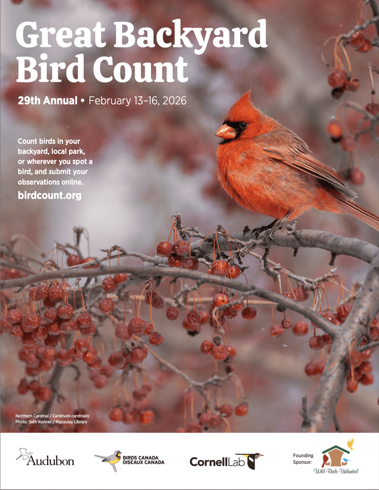 Great Backyard Bird Count