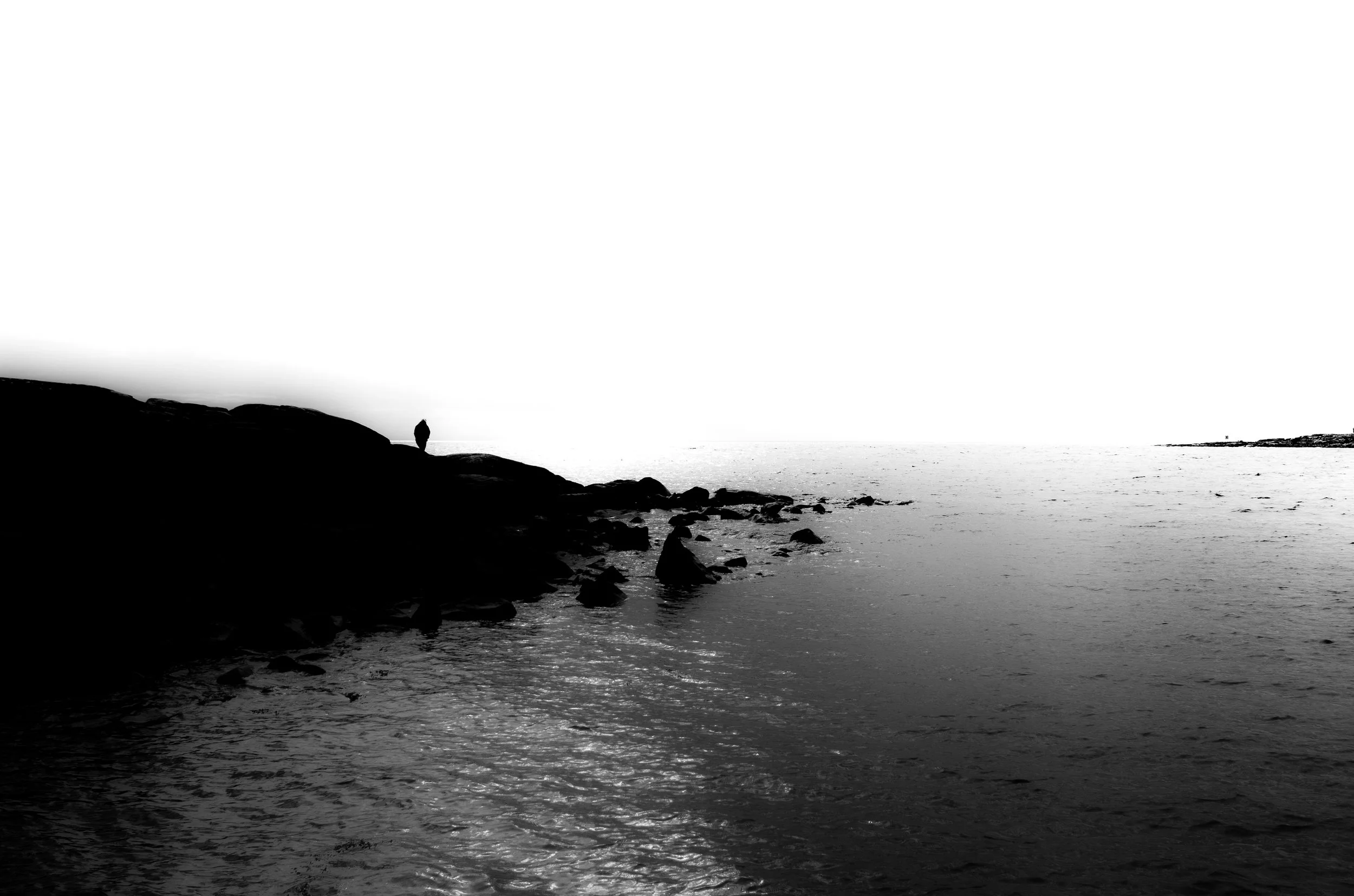 just for one day3.jpg