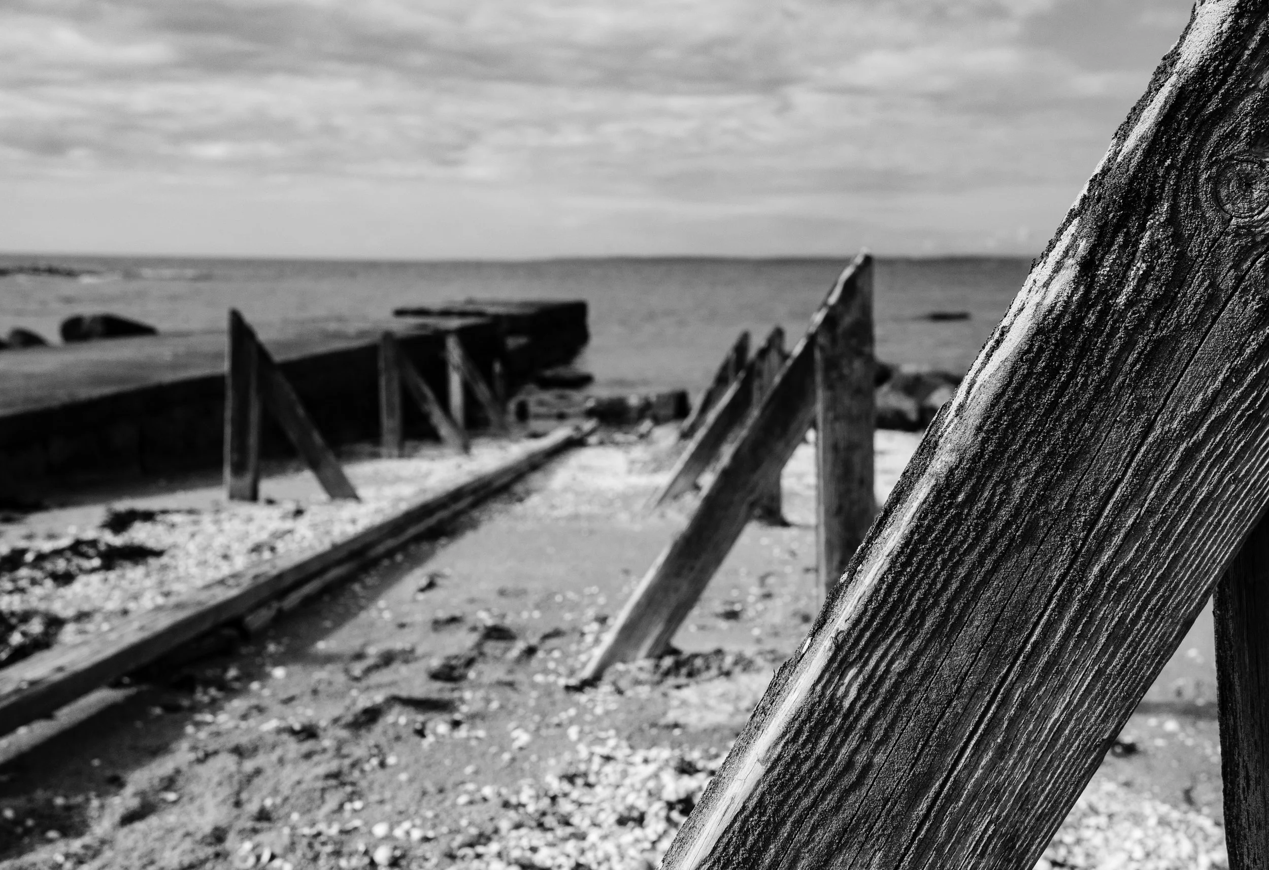 just for one day2.jpg