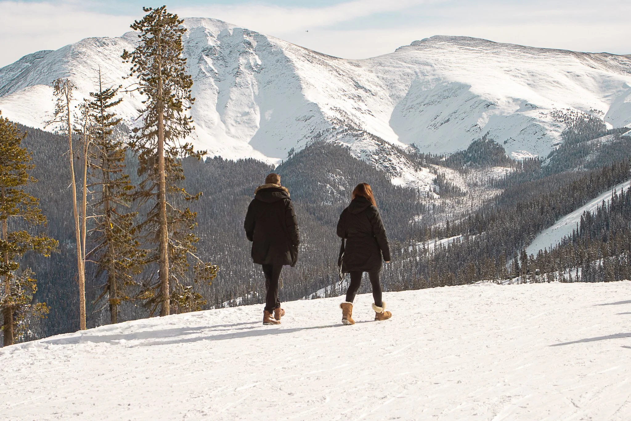 Sean & Sarah Proposal-082.jpg