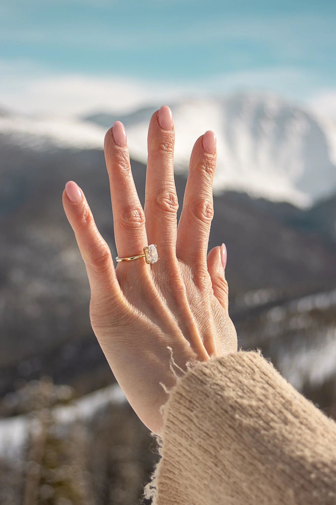 Sean & Sarah Proposal-132.jpg
