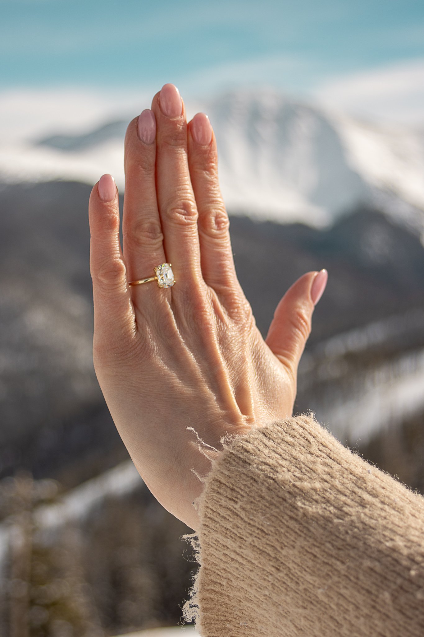 Sean & Sarah Proposal-133.jpg