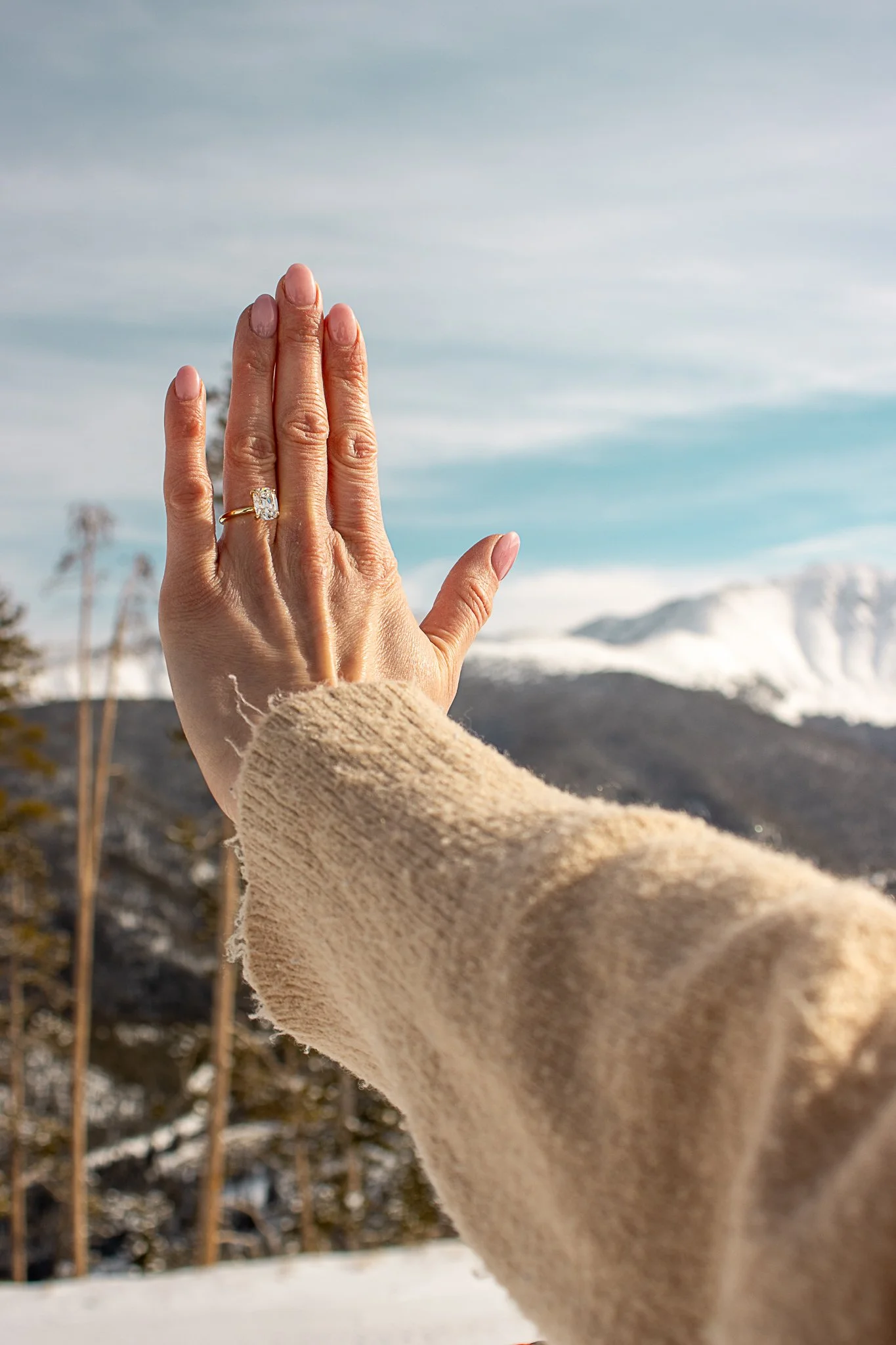 Sean & Sarah Proposal-134.jpg