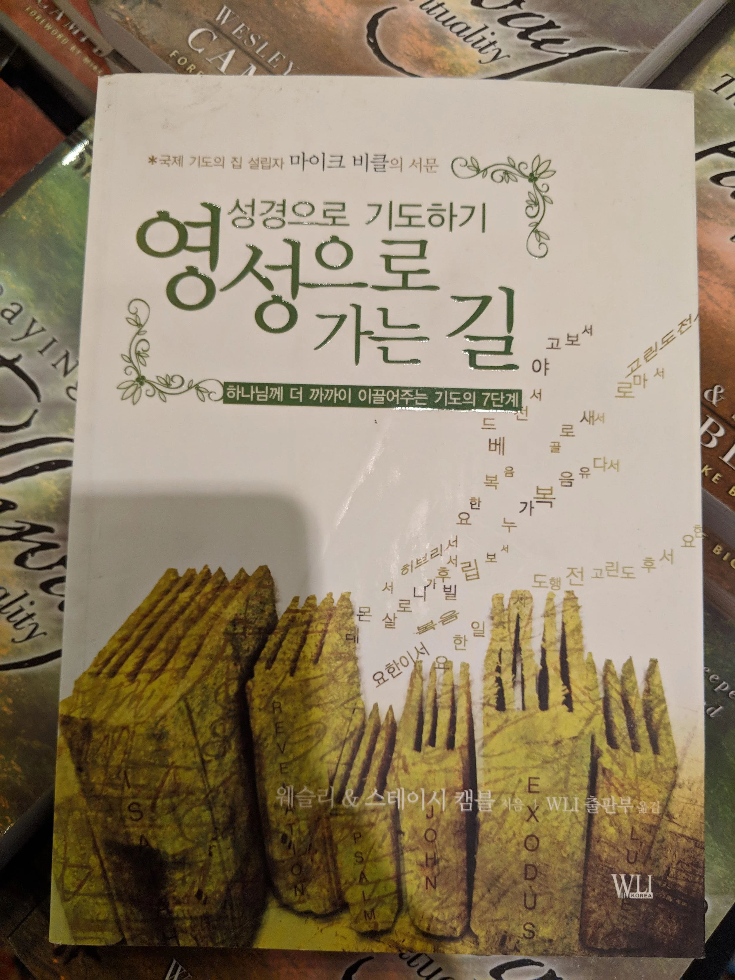 Korean Praying The Bible