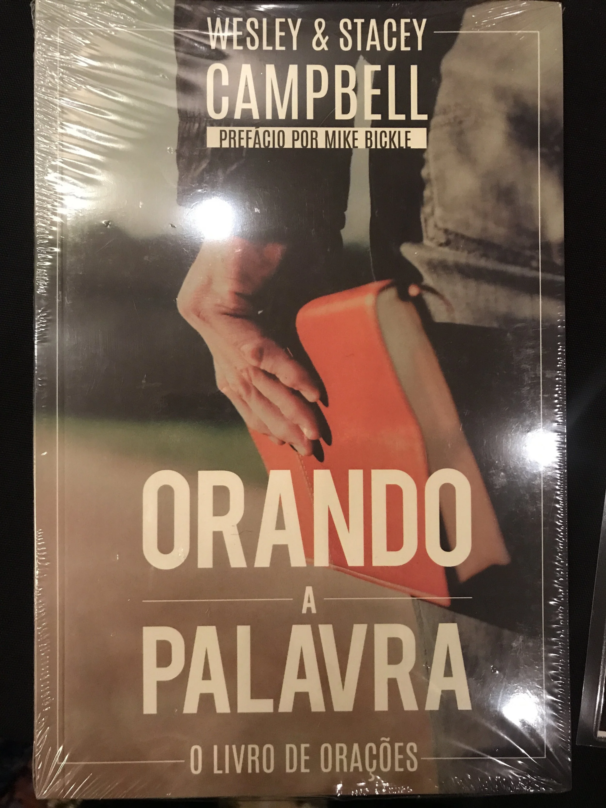 Portuguese Praying the Bible