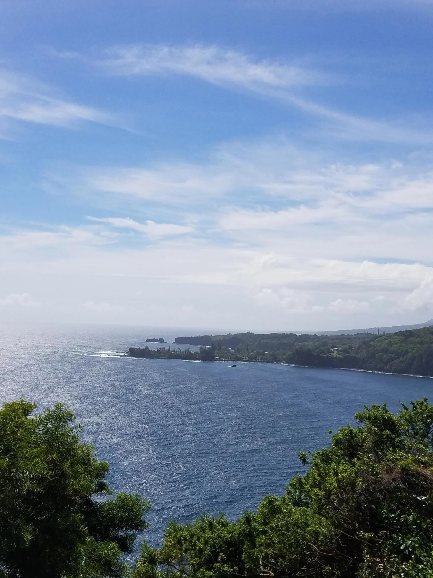 maui3.jpg