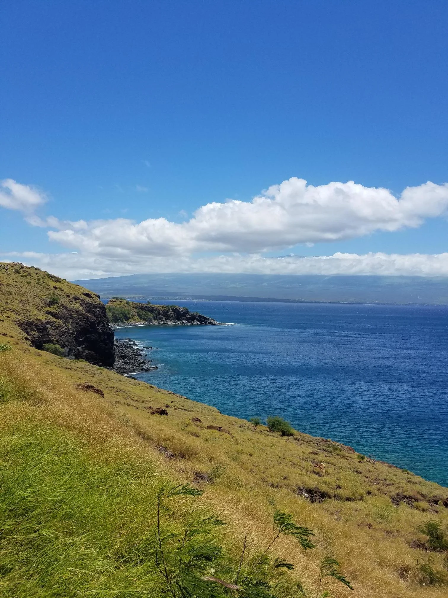 maui.jpg