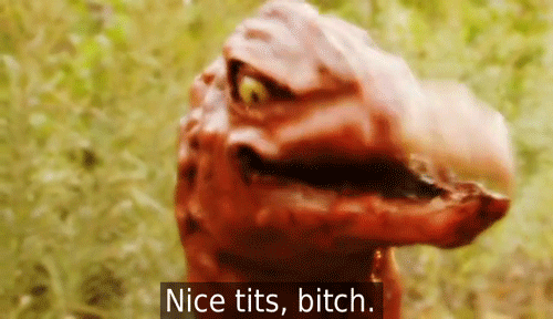 DdPUBuQ.gif