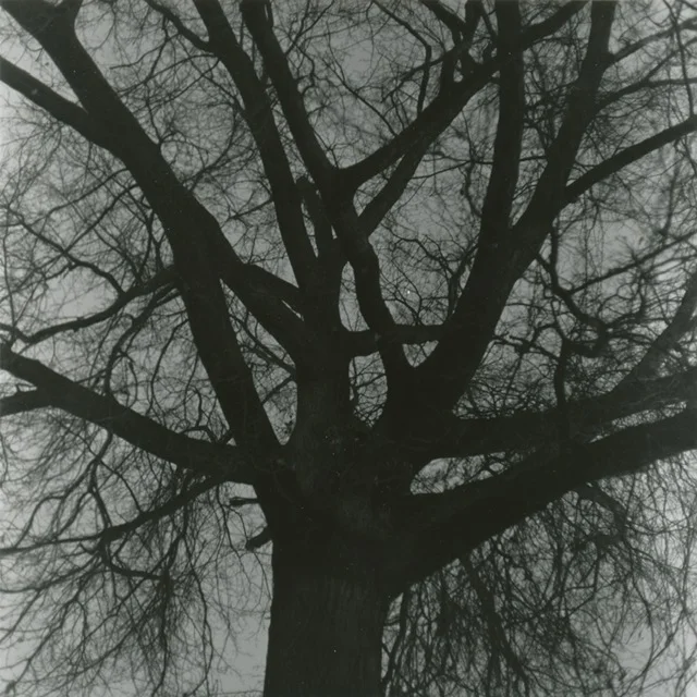 [Pride 2019 Short Story] A Bright and Bloody Becoming