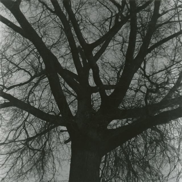 image1.jpeg