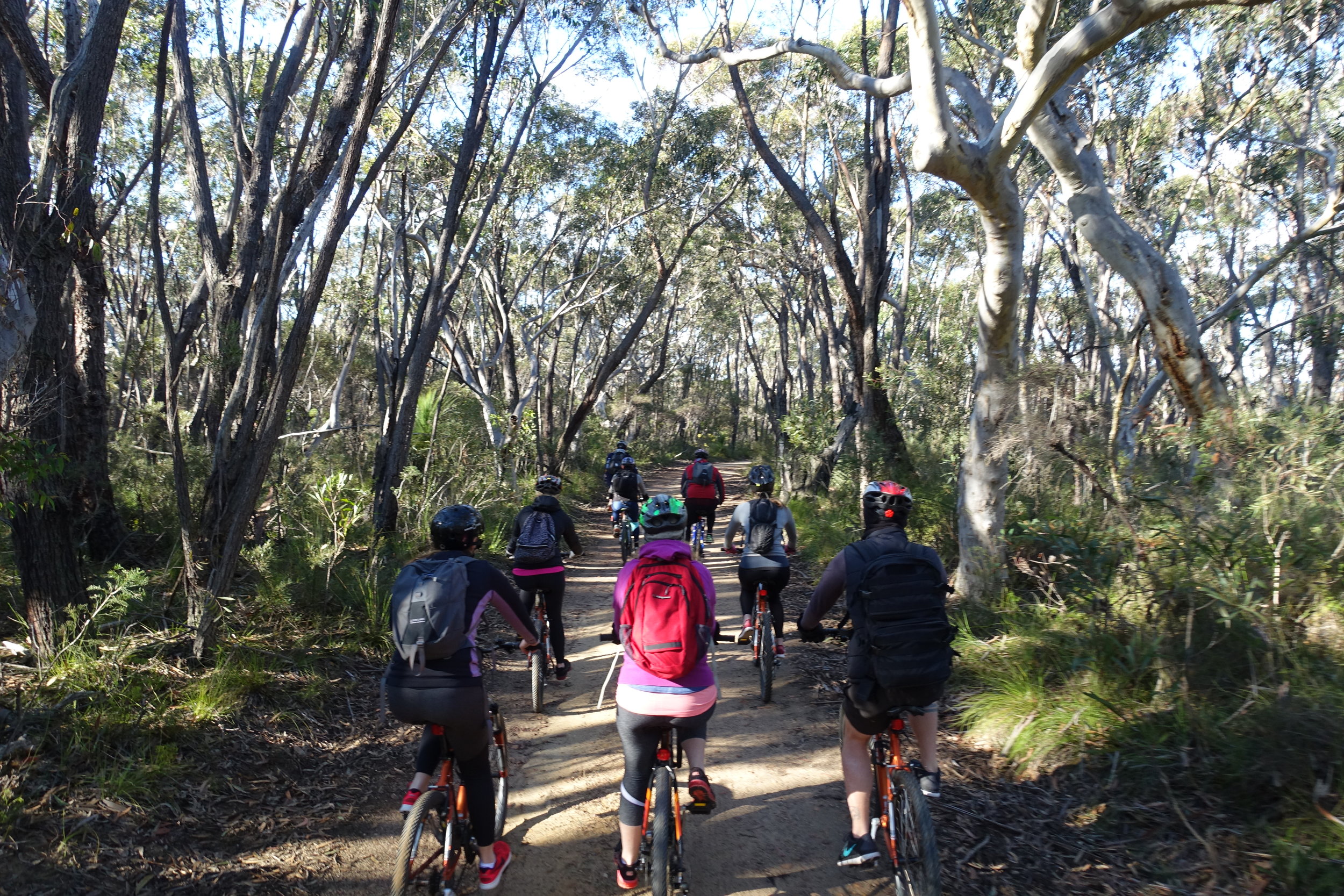 HIRE A BIKE (OR BRING YOUR OWN) AND RIDE THROUGH THE NATIONAL PARK