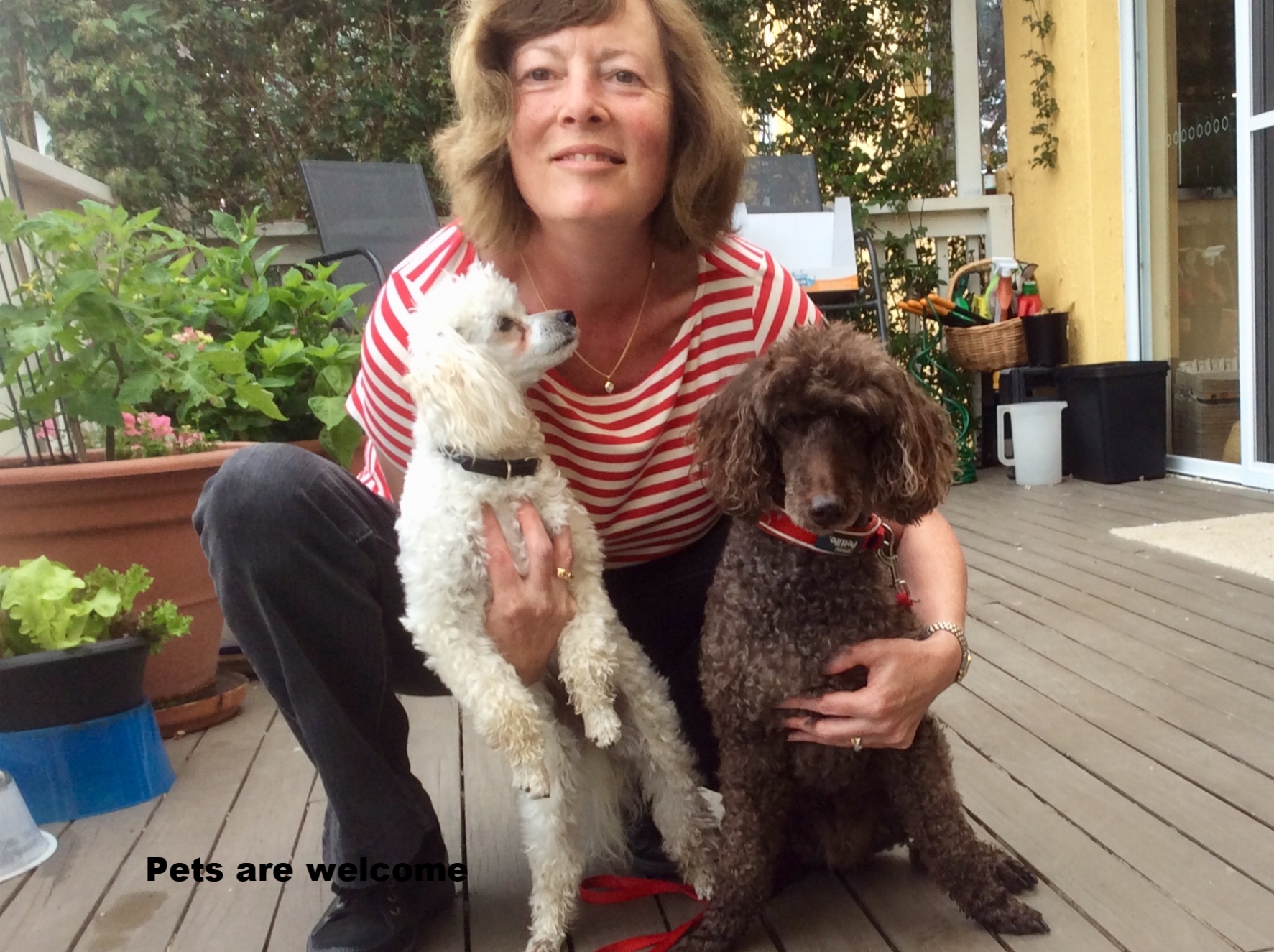 BRING YOUR WELL BEHAVED FUR FRIEND WITH YOU