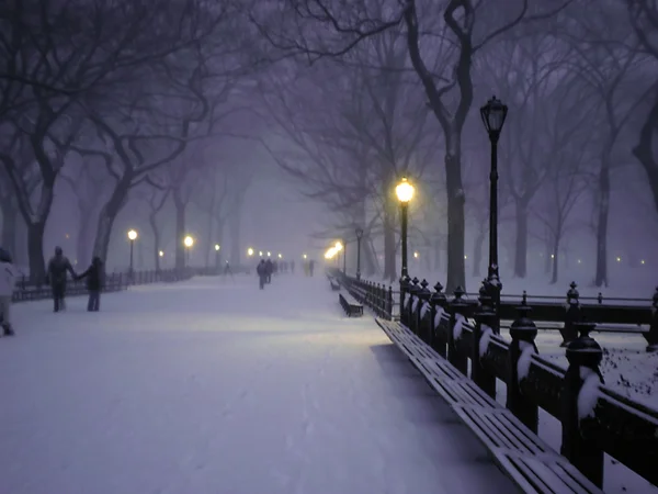 Central Park.jpg