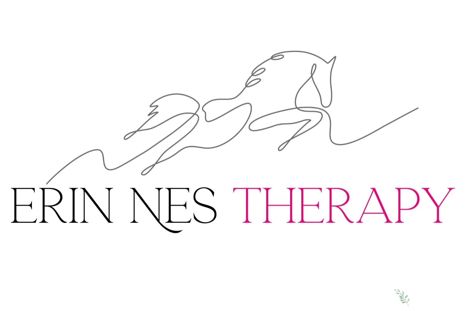 ERIN NES THERAPY