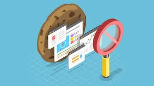 Quick Bite: Google Cookies To Crumble in 2022