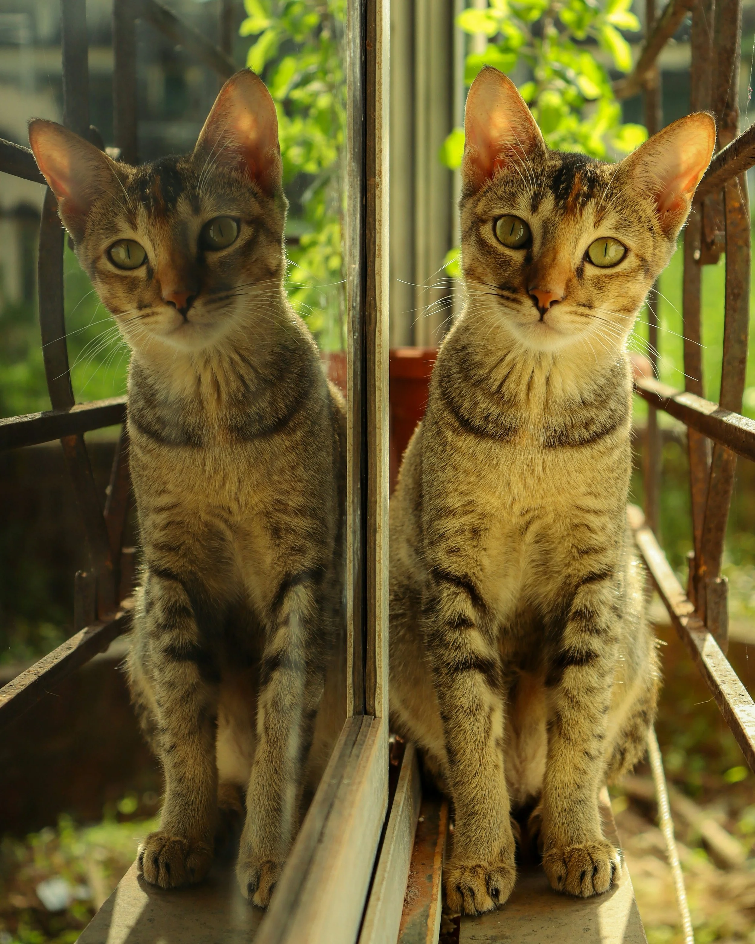 Think Like Them, Don’t Copy Them