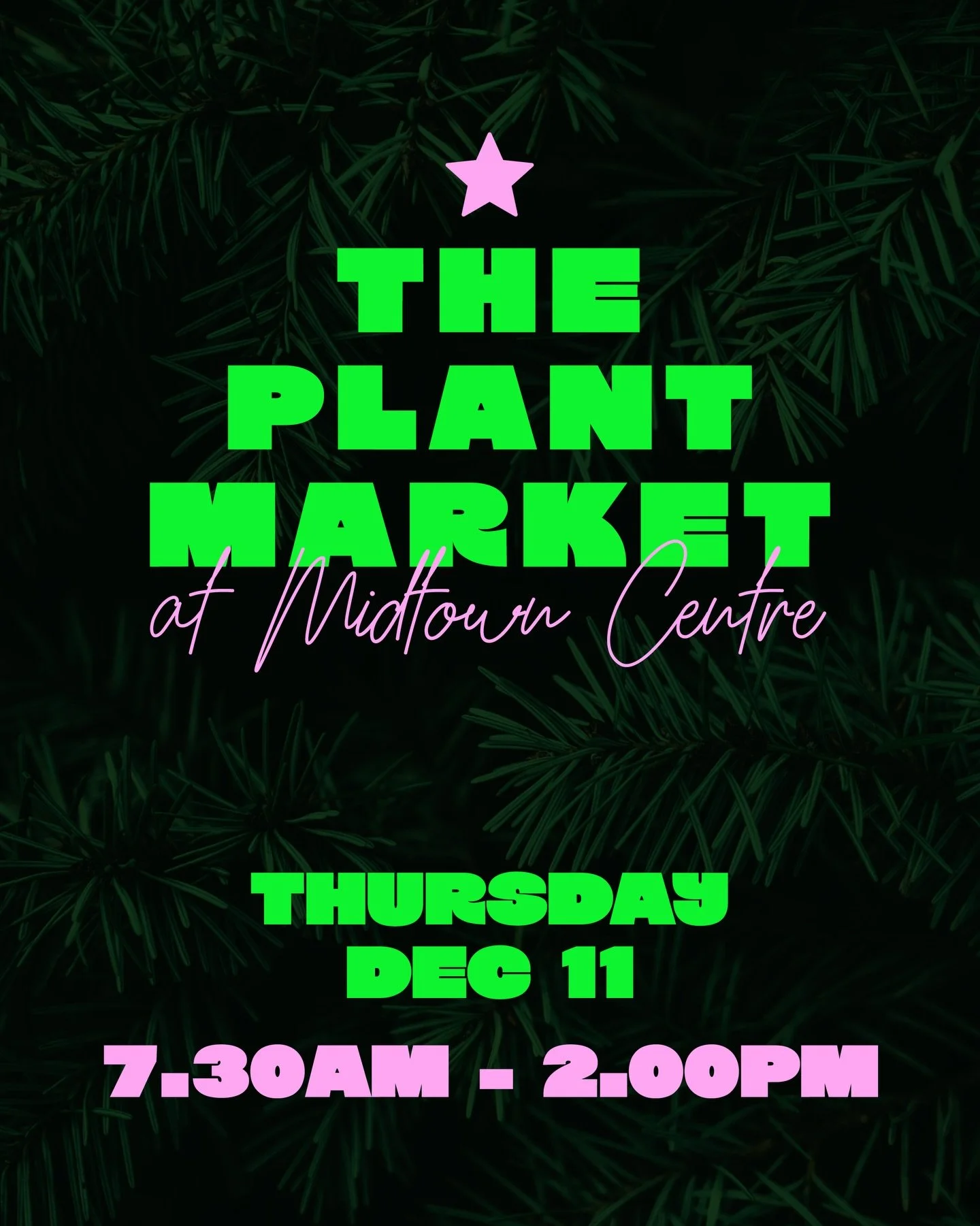 Big news plant lovers &mdash; The Plant Market is making a comeback! 💚

If you&rsquo;re new around here, @the.plantmarket is a designer plant market with a serious love for beautiful things. Think lush plants, handmade creations, locally grown goodn