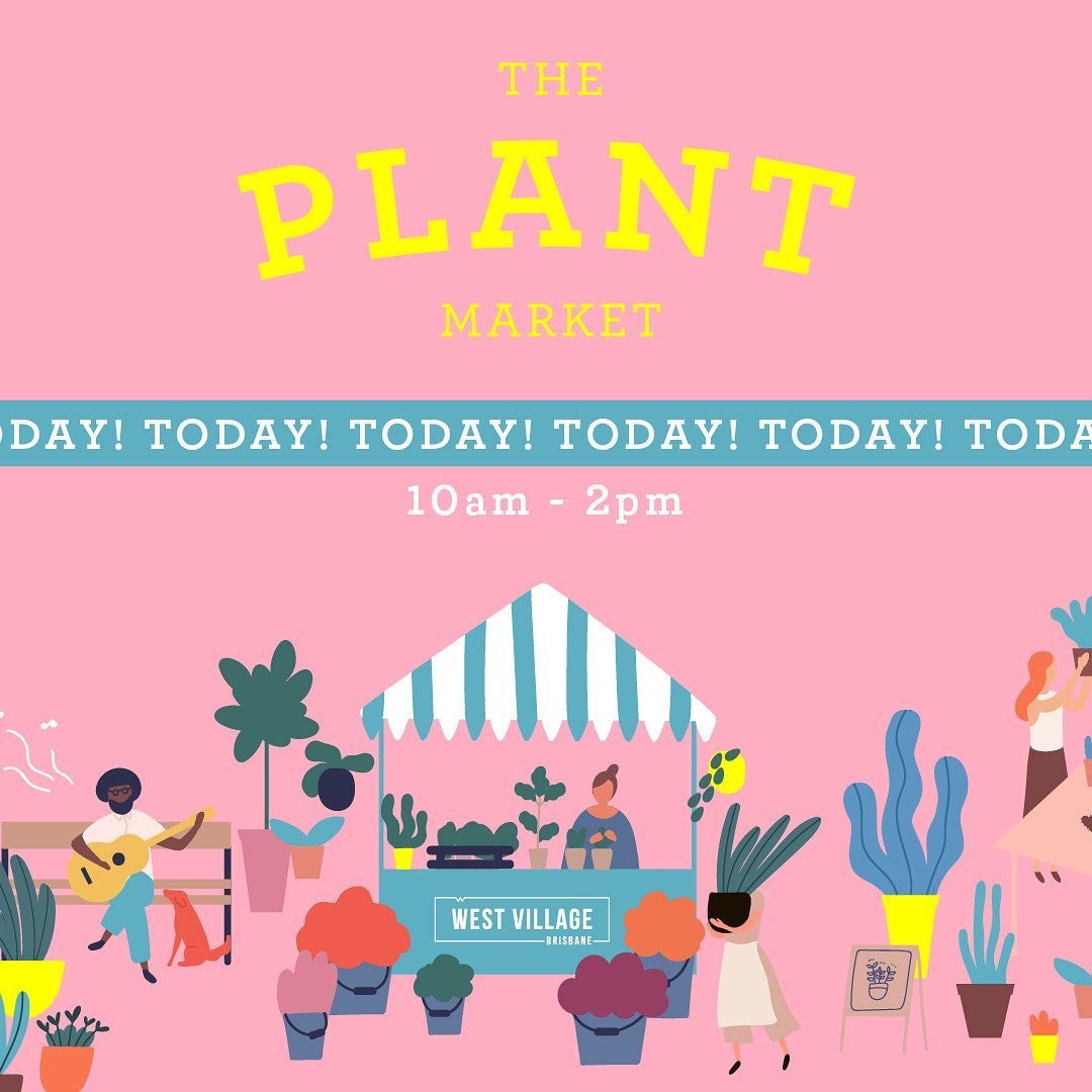 Today&rsquo;s the day! @the.plantmarket will be popping up at @westvillage_brisbane from 10am to 2pm 🪴 See you all soon! 💚
