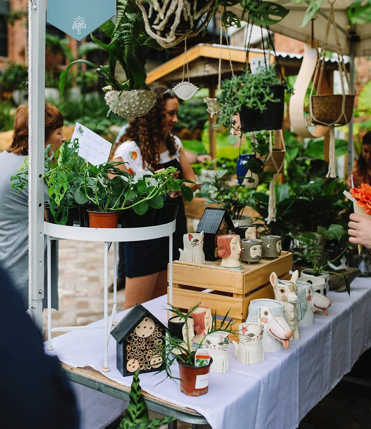 TOMORROW! ✨ Join us Sunday 28 August at @westvillage_brisbane from 10am - 2pm for all of your plant needs and wants! 🪴 Check out our stories to see our vendor highlights. We can't wait to see you all 🥰
