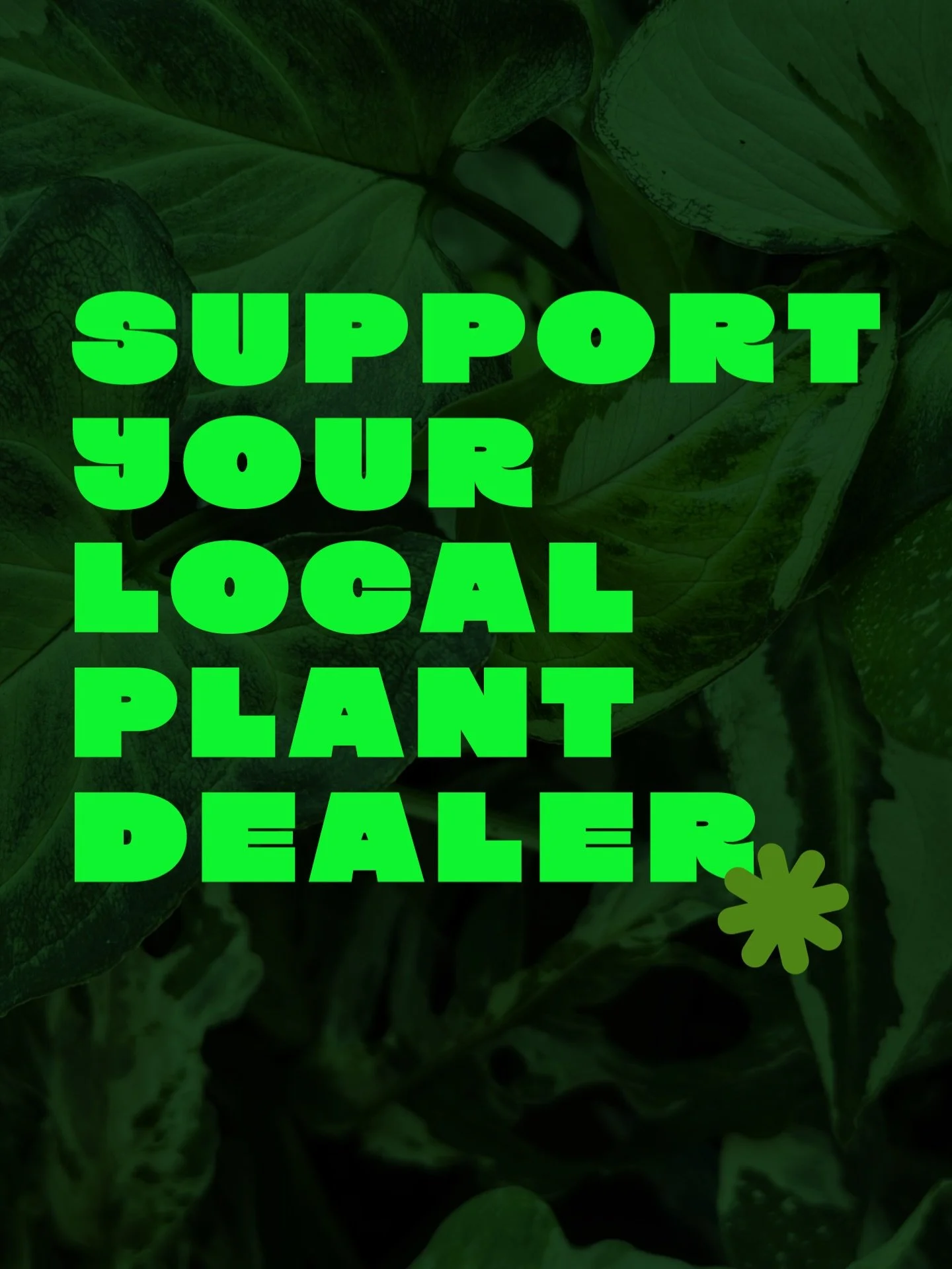 Shop small from huge legends this Thursday at @midtown.centre 🌿

We&rsquo;ll be there from 7.30am - 2.00pm with plant lovin&rsquo; pals @ellesbalconygarden @becenglish_ceramics @alomfloralstudio @lazer_unicorn_ ✨

Perfect timing to find the perfect 