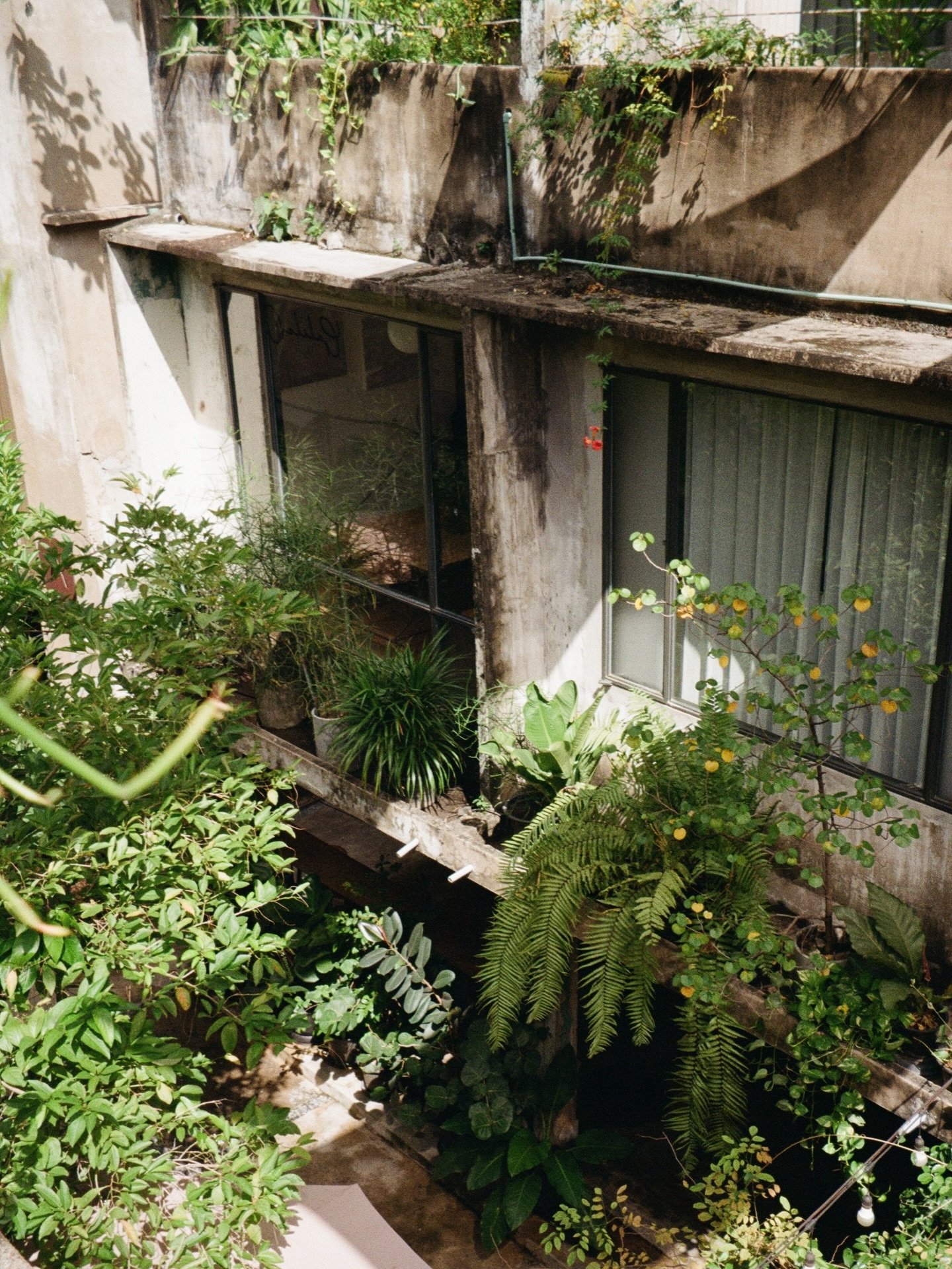 Concrete cities + lots of greenery = match made in heaven 🌿

Snapped this pic on film in Bangkok a few weeks back, while planning the return of @the.plantmarket 💚

Seemed like a good sign to bring some more greenery and good times to city centres. 