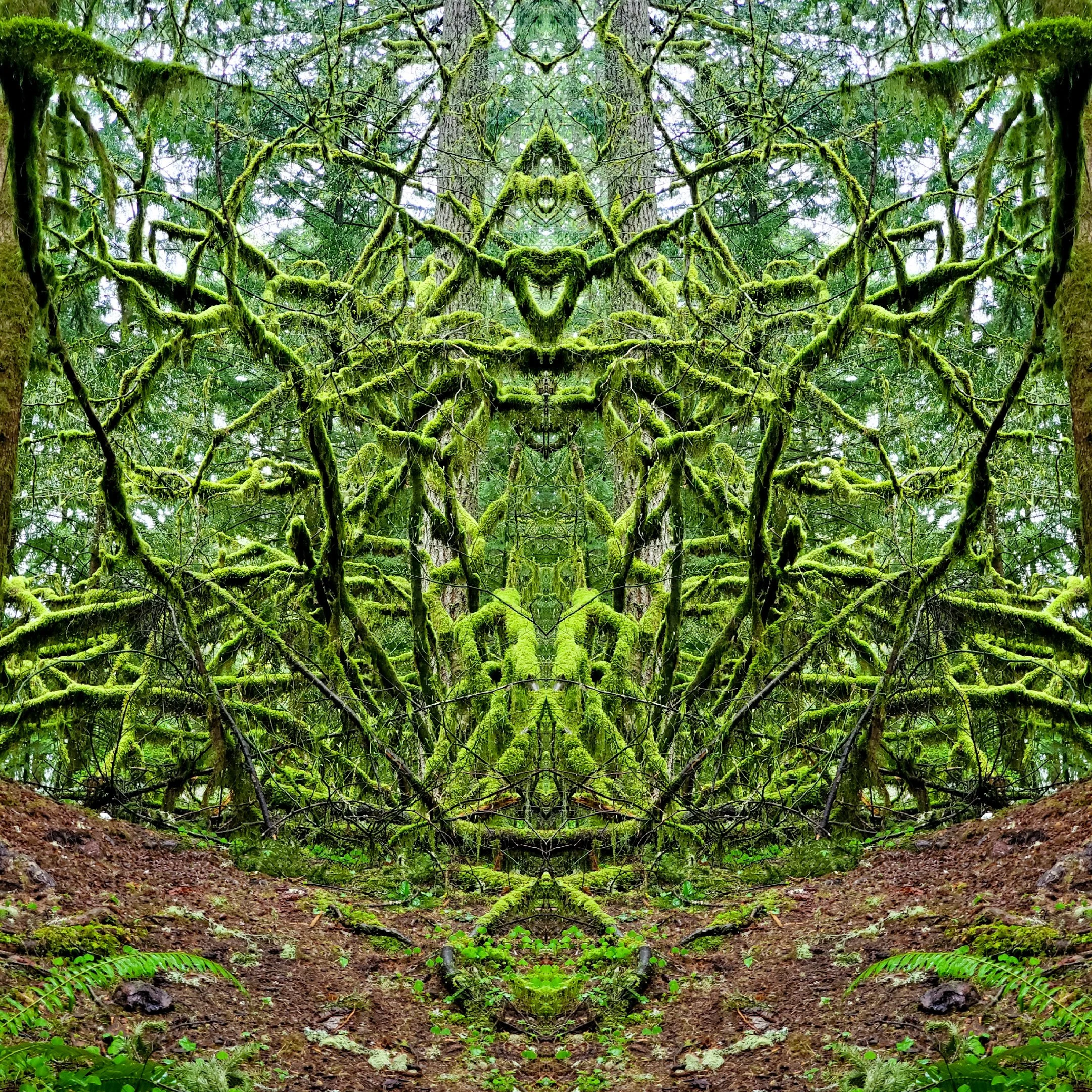 P7.jpg