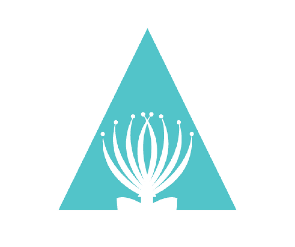 Aotearoa Youth Leadership Institute