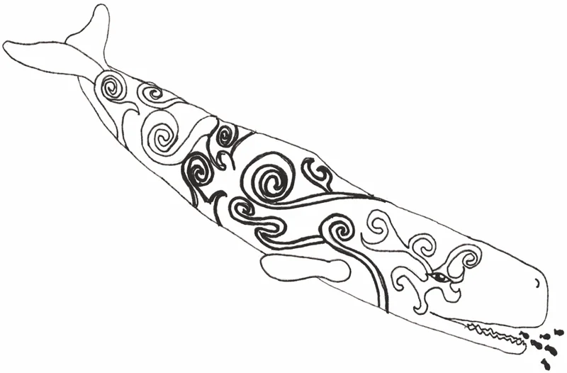 whale.jpg