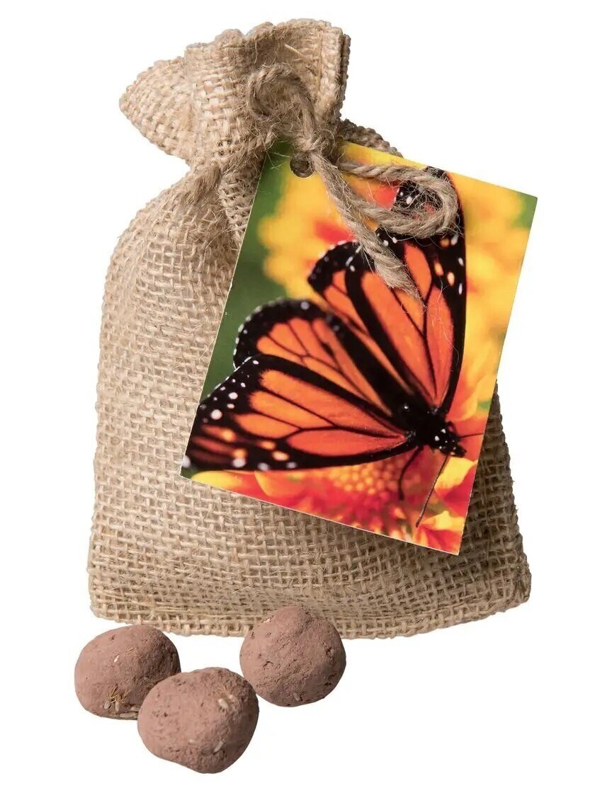 8591767_1077Z_milkweed-seeds-in-clay-balls-for-monarch-butterfly-garden.jpg