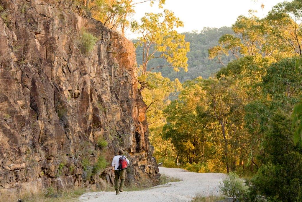 Visitor on Devines Hill late afternoon Simone Cottrel.jpg