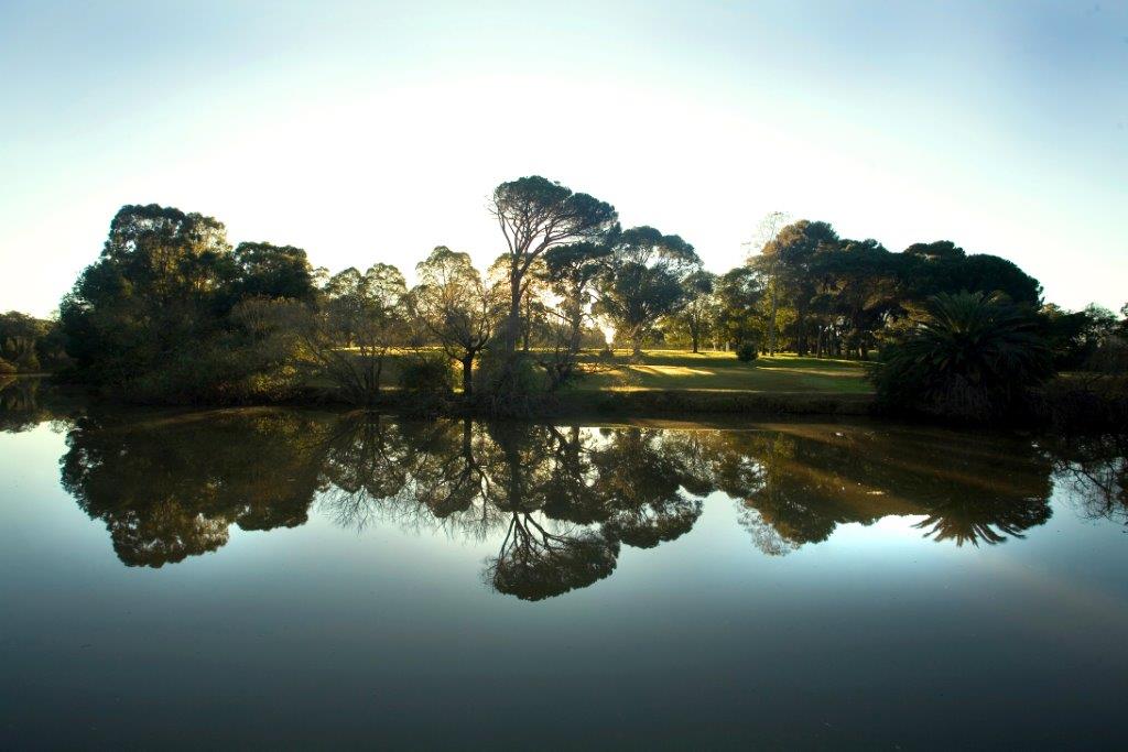 Parramatta River2.jpg