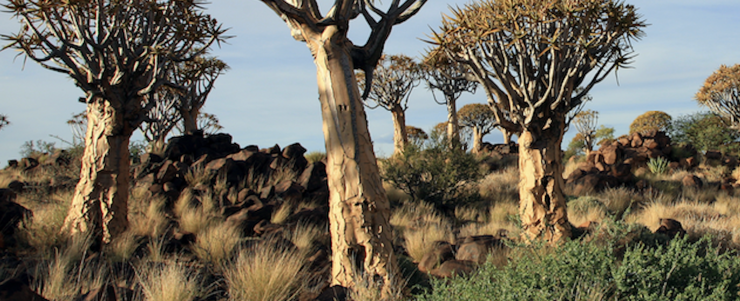 Screen Shot 2018-07-02 at 2.57.20 pm.png