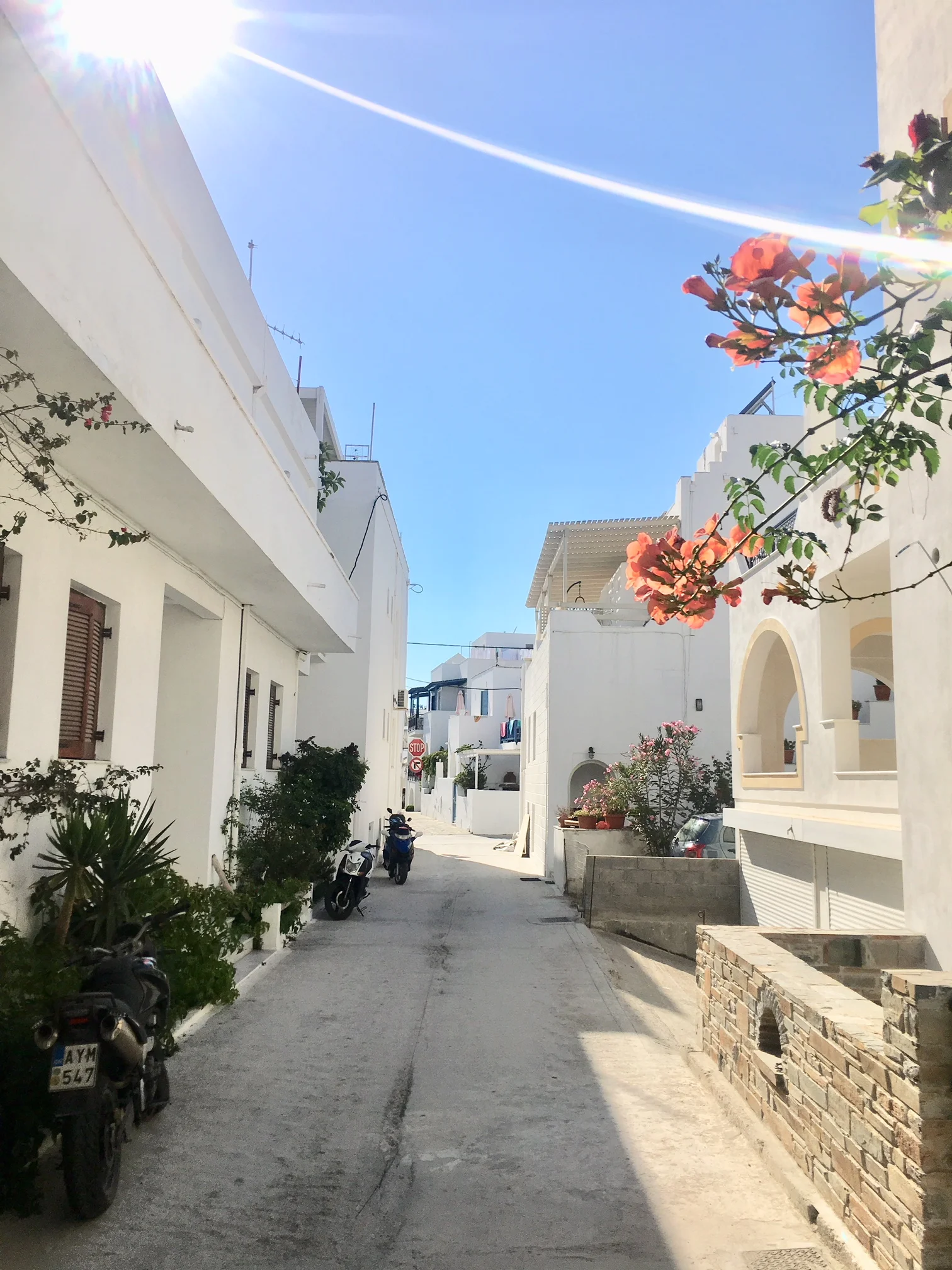 TRAVEL DIARY | NAXOS GREECE
