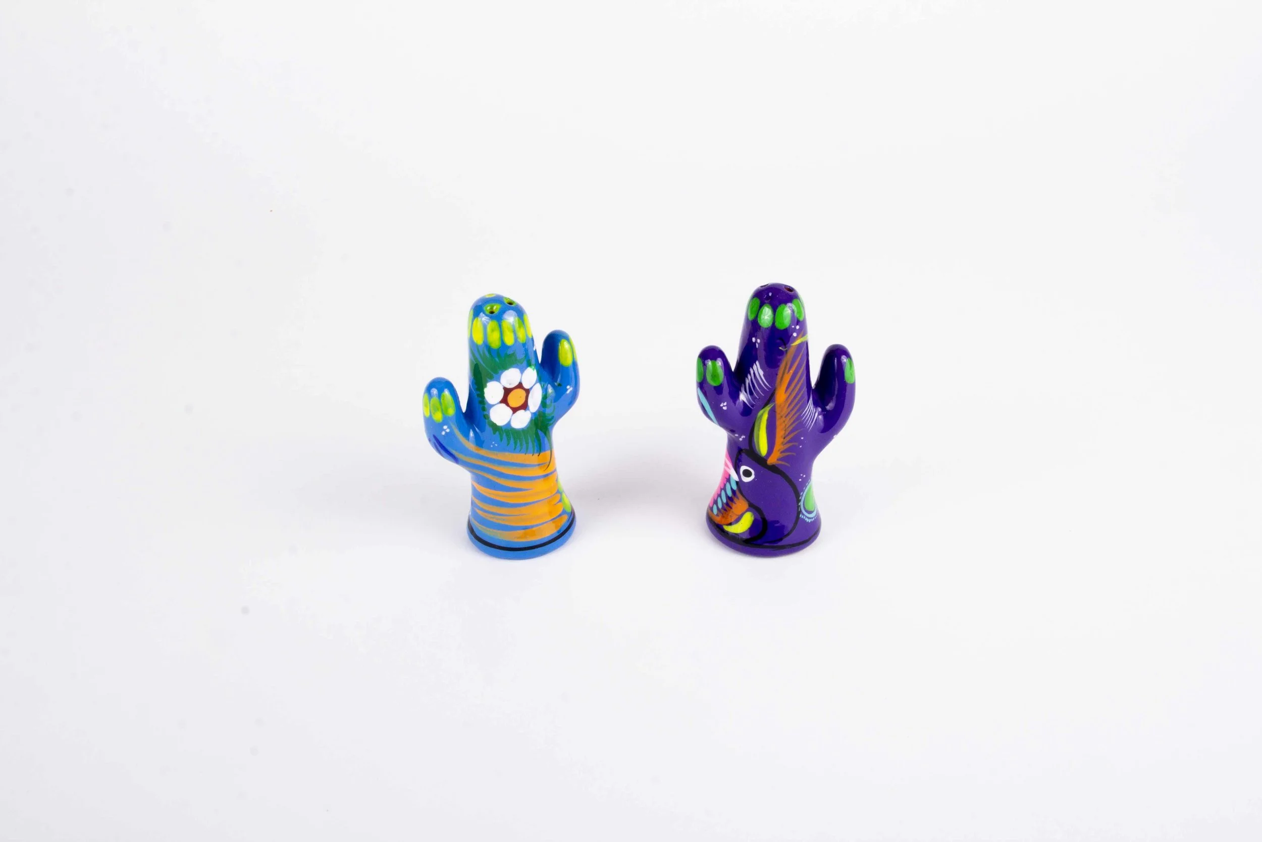 snpshaker_cactus_02.jpg