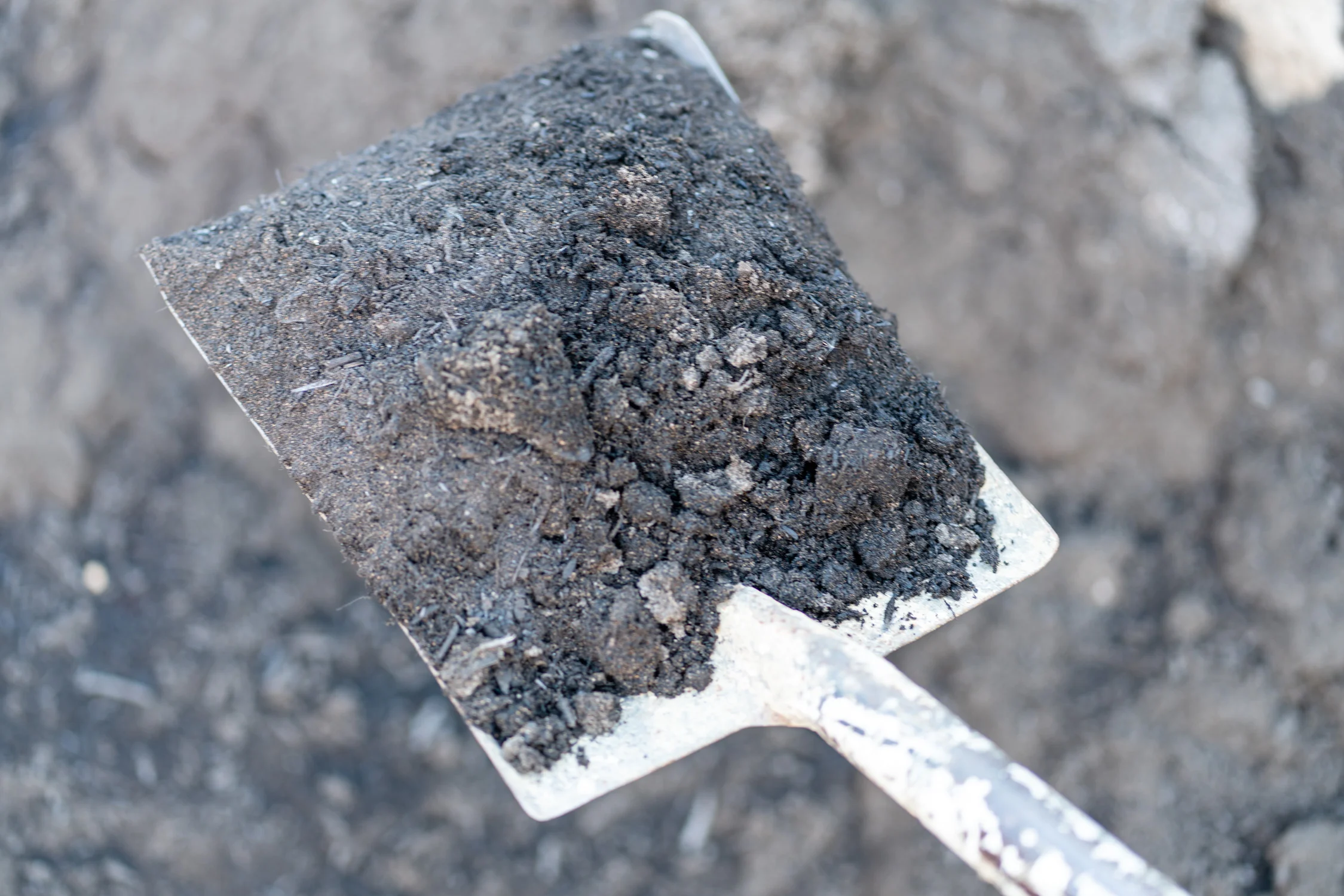 Turf Underlay Mix — Bedrock Landscape Supplies Wagga Wagga