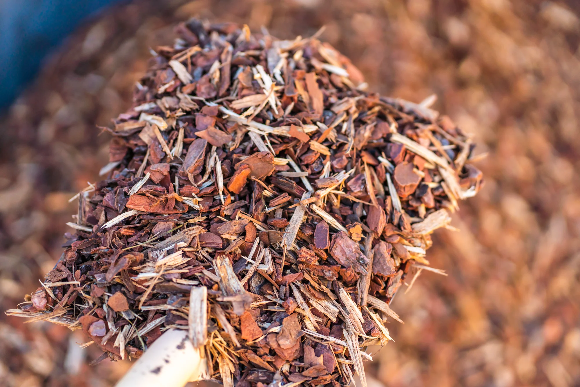 Pine Mulch — Bedrock Landscape Supplies Wagga Wagga