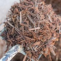 Cyprus Mulch