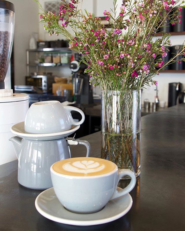 Tea and coffee and all the spring flowers please. 💐☕️